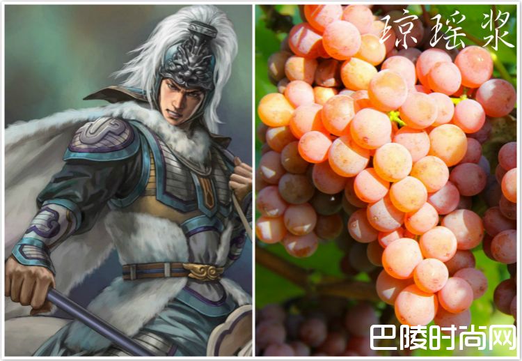 脑洞大开：《三国演义》主要人物与葡萄的配对