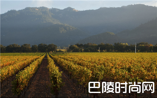 2017年，你的旅游清单应该加上这些溢满酒香的景点