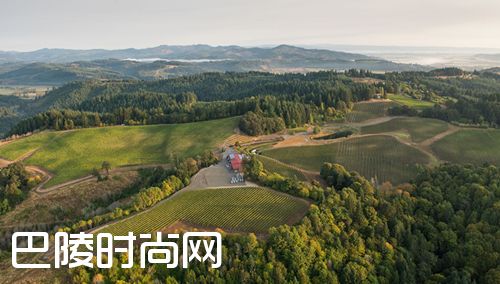 全球黑皮诺的主流产区详解