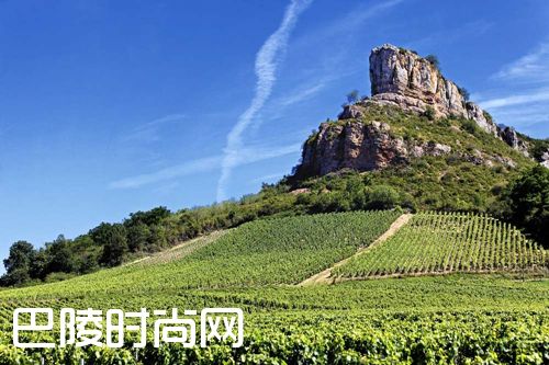 全球黑皮诺的主流产区详解