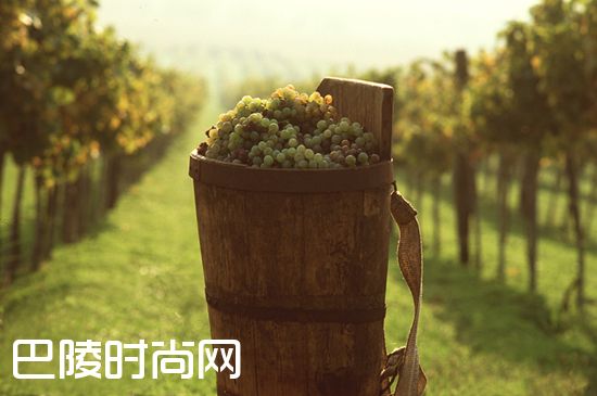 匈牙利甘露产区，托卡伊的流金岁月