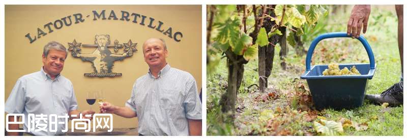 波尔多2013年是白葡萄酒的年份