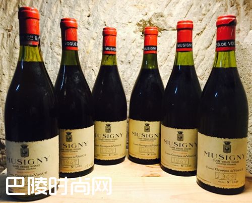 细说伟大的勃艮第名村——香波-慕西尼