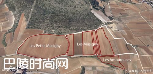 细说伟大的勃艮第名村——香波-慕西尼