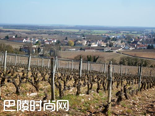 细说伟大的勃艮第名村——香波-慕西尼 细说伟大的勃艮第名村——香波-慕西尼