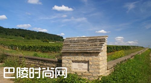 细说伟大的勃艮第名村——香波-慕西尼