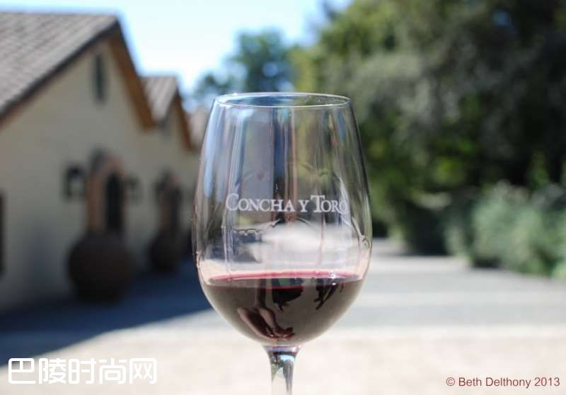 美酒美景两不误，尽在这10家智利酒庄