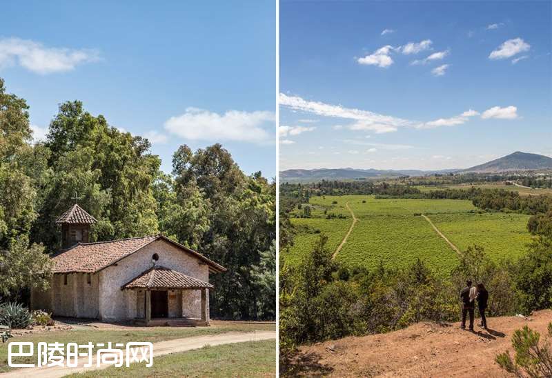 美酒美景两不误，尽在这10家智利酒庄