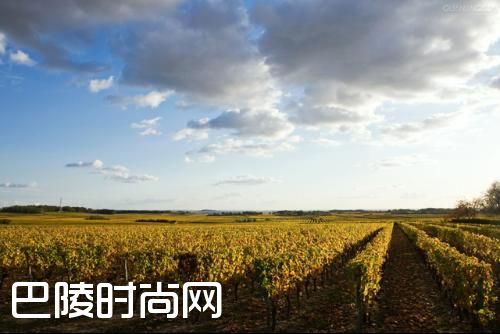 一读就懂的格拉夫 一读就懂的格拉夫