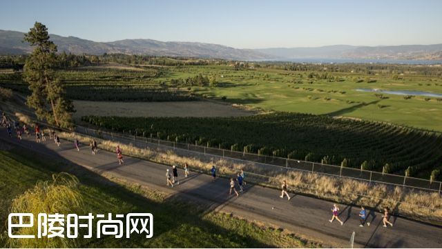 马拉松,这一站我选纳帕谷 马拉松,这一站我选纳帕谷