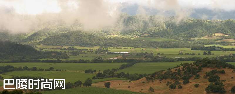 马拉松,这一站我选纳帕谷 马拉松,这一站我选纳帕谷
