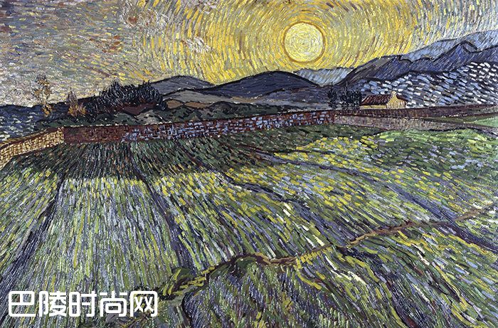 气候变化如何影响葡萄酒？