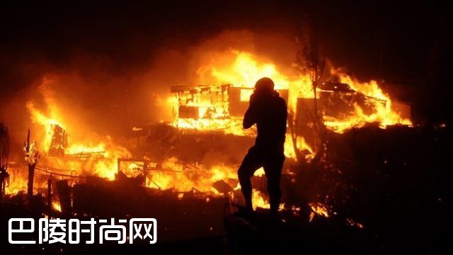 智利大火烧毁百年老藤
