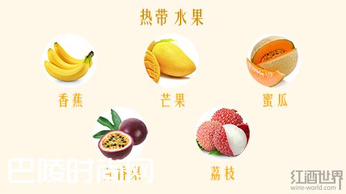 看得见的葡萄酒香气，让你身临其境