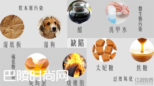 看得见的葡萄酒香气，让你身临其境