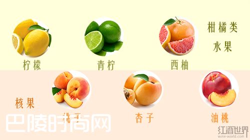 看得见的葡萄酒香气，让你身临其境