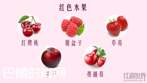 看得见的葡萄酒香气，让你身临其境