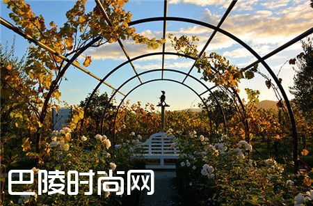 2017年最值得期待的十大葡萄酒旅游胜地清单 2017年最值得期待的十大葡萄酒旅游胜地清单