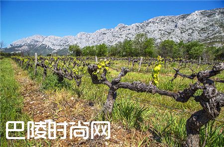 2017年最值得期待的十大葡萄酒旅游胜地清单 2017年最值得期待的十大葡萄酒旅游胜地清单