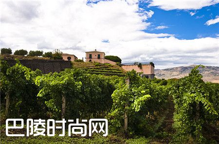 2017年最值得期待的十大葡萄酒旅游胜地清单