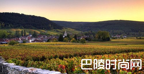 勃艮第的黑皮诺——装在酒瓶里的风土