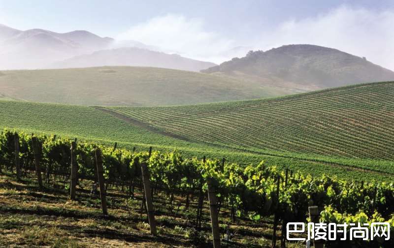 揭秘五大产酒区