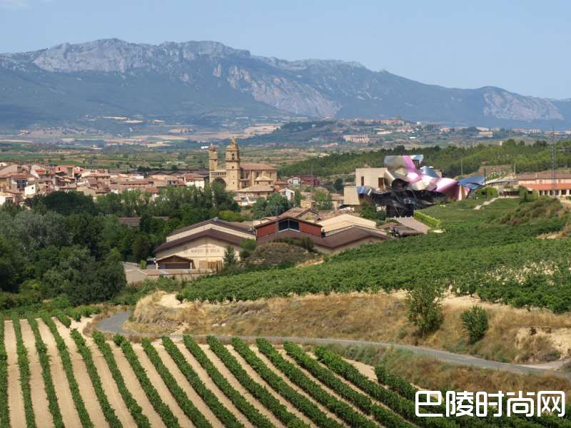 揭秘五大产酒区