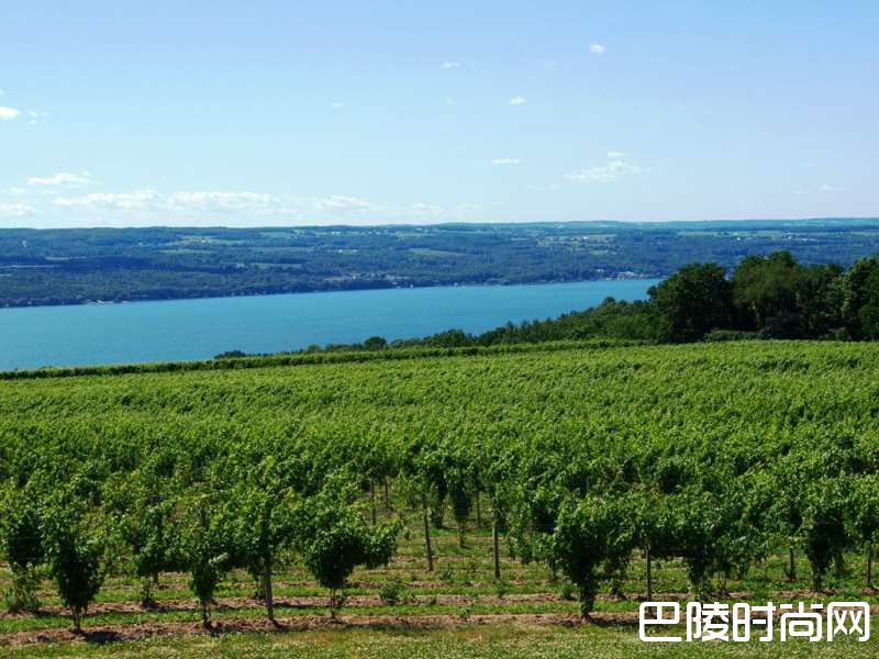 揭秘五大产酒区