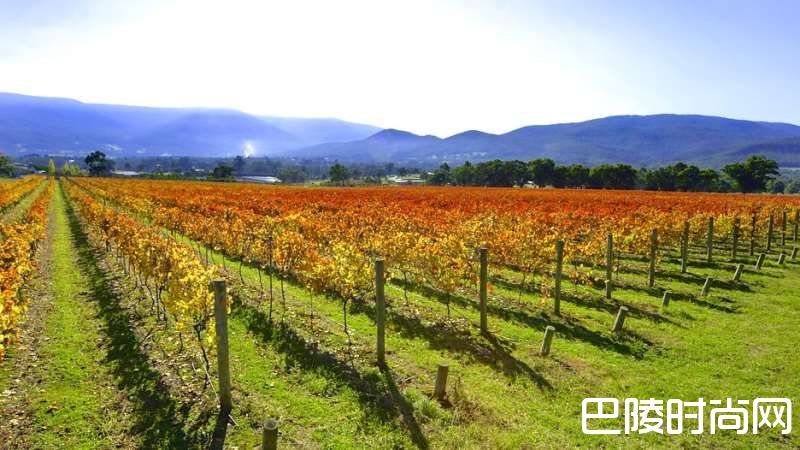 维多利亚州主要产区一览 维多利亚州主要产区一览