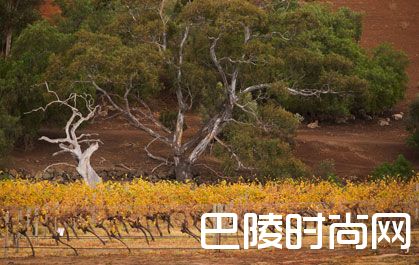 维多利亚州主要产区一览 维多利亚州主要产区一览