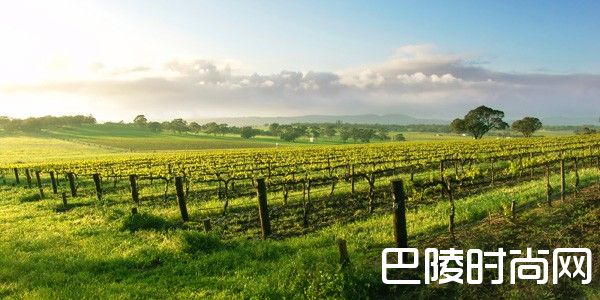 维多利亚州主要产区一览