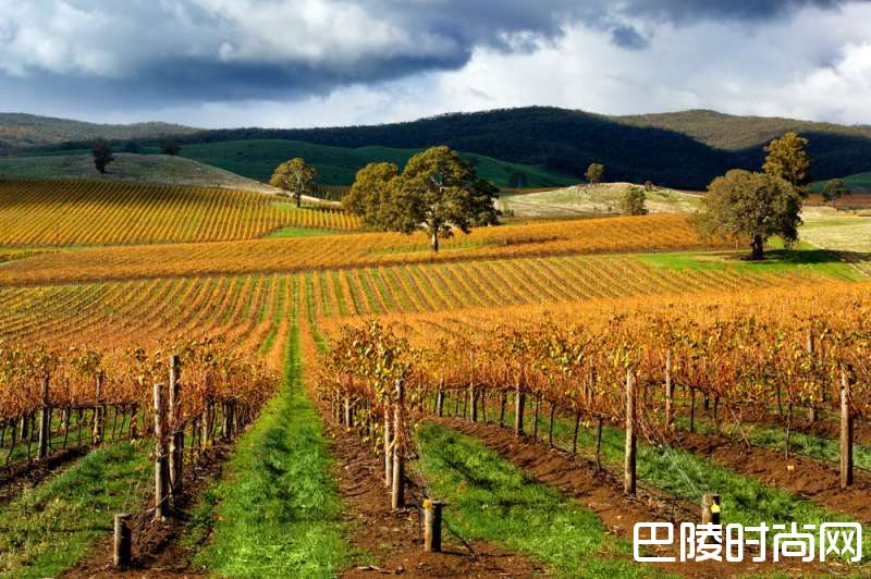 为何好的葡萄园都在山坡上? 为何好的葡萄园都在山坡上?