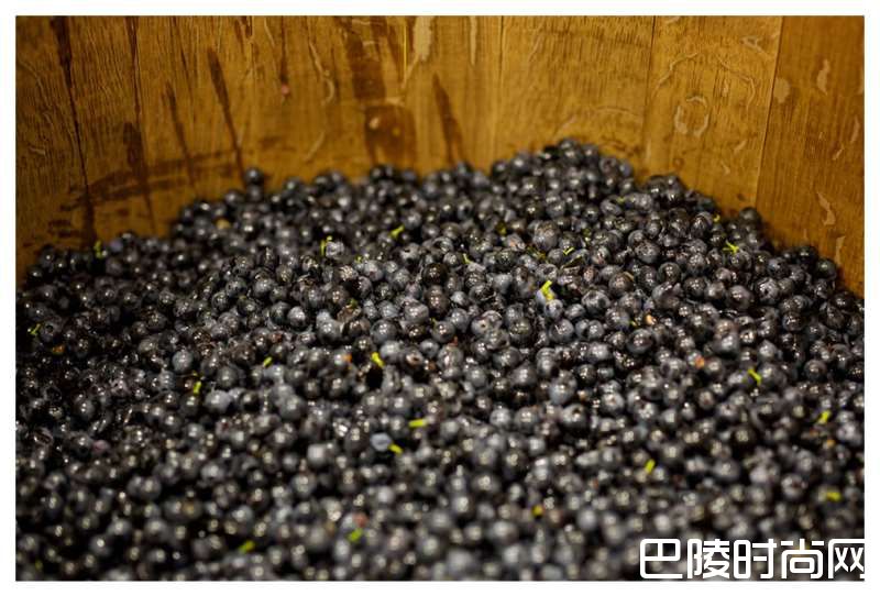 漂洋过海，去聆听7&8酒庄的故事