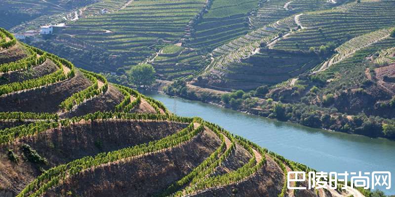 带你走进葡萄牙杜罗河产区 带你走进葡萄牙杜罗河产区