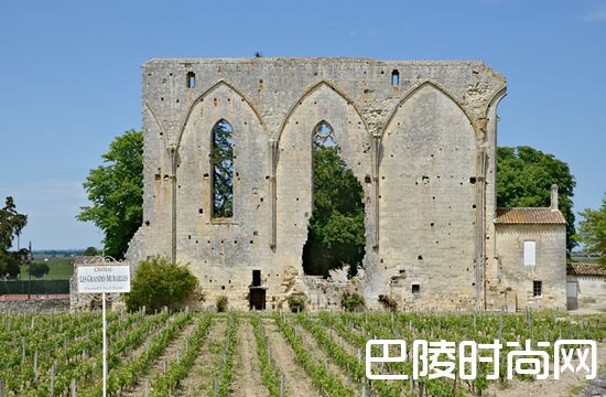 探索圣埃美隆及其卫星产区