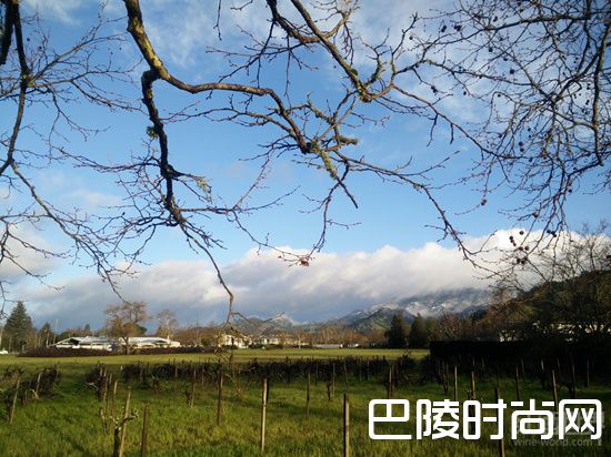 纳帕谷马拉松开赛，红酒世界代表团获佳绩