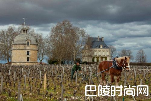 拉图城堡将发布2005年份正牌酒