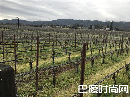 红酒世界探访作品一号,走近纳帕的灵魂 红酒世界探访作品一号,走近纳帕的灵魂