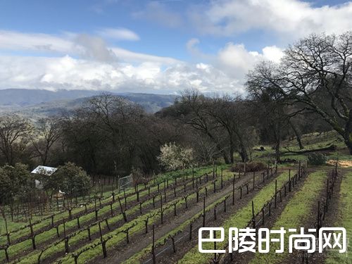 红酒世界拜访美国名庄——馥悦酒庄 红酒世界拜访美国名庄——馥悦酒庄