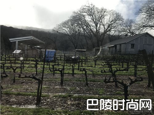 红酒世界拜访美国名庄——馥悦酒庄 红酒世界拜访美国名庄——馥悦酒庄