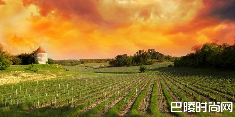 波尔多与勃艮第，谁更胜一筹？