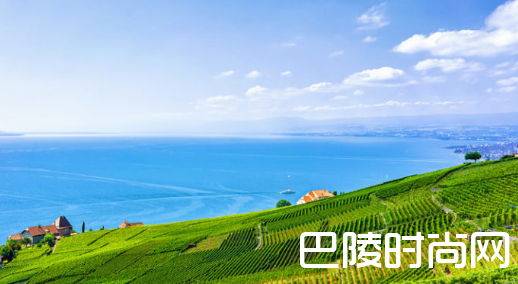 为何湖边产好酒?