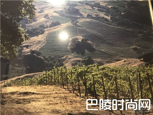 红酒世界探访真理酒庄，感受满分酒的魅力