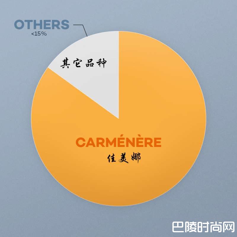 佳美娜的这十件酷事儿你知道么！