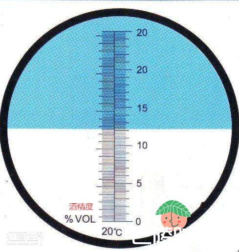 哪些特征暗示你的葡萄酒适合陈年？