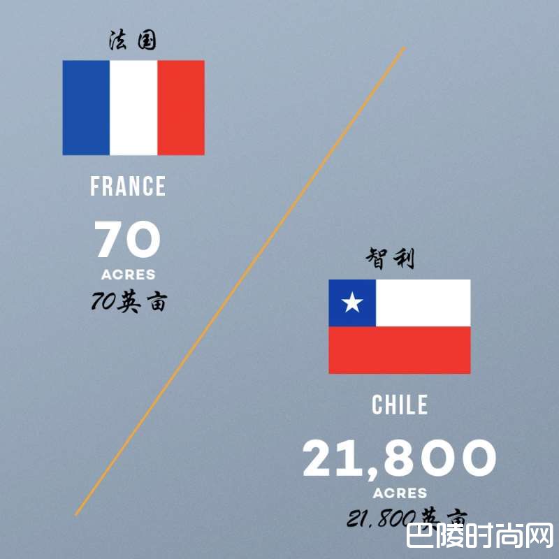 佳美娜的这十件酷事儿你知道么！