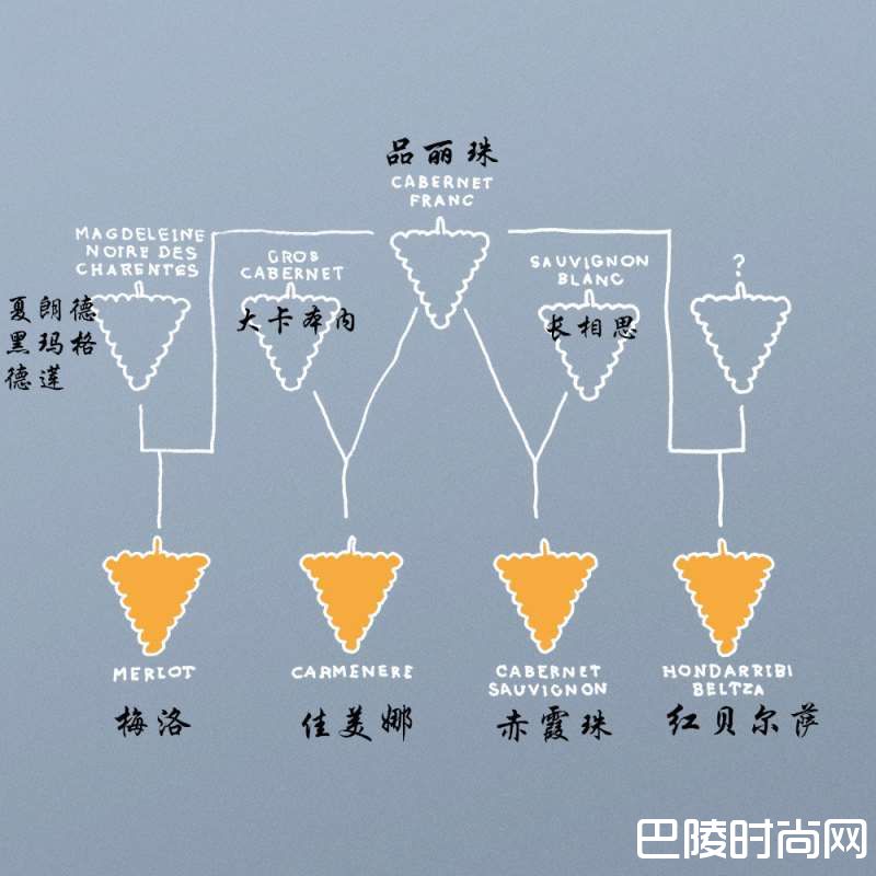 佳美娜的这十件酷事儿你知道么！