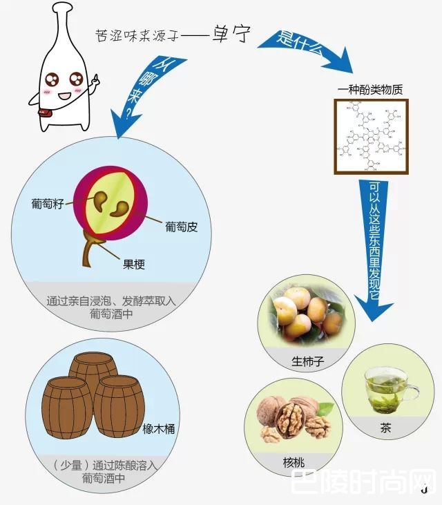 哪些特征暗示你的葡萄酒适合陈年？