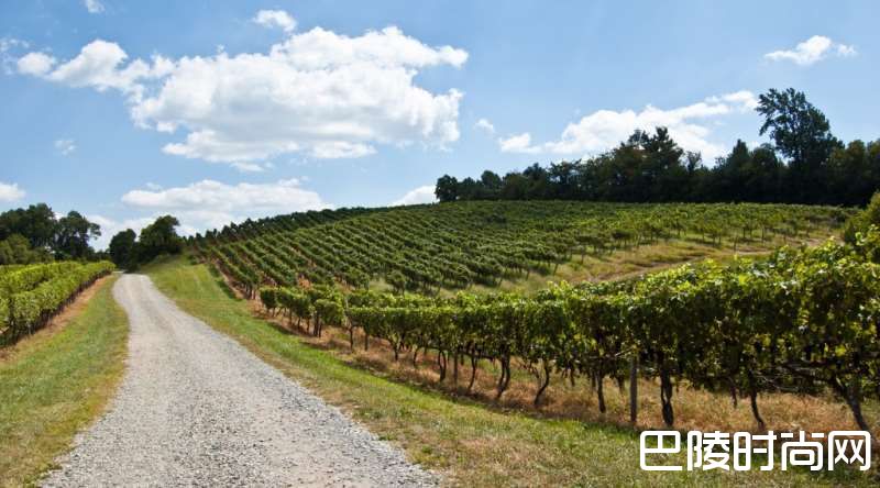 盘点美国7大被低估的产区 盘点美国7大被低估的产区