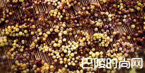 走进法国低调神秘的汝拉产区 走进法国低调神秘的汝拉产区